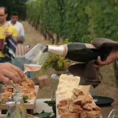 Un brindisi nel Val Tidone: bollicine versate in un calice, circondate da focaccia e formaggio, con vigneti sullo sfondo.