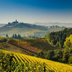 Colline dorate di vigneti in autunno, con un castello in lontananza. Un paesaggio che evoca la differenza tra Langhe e Monferrato, terre di vino e storia.