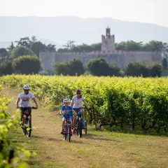 Famiglia in bicicletta tra i vigneti, con un castello sullo sfondo, lungo la ciclovia Bergamo Brescia.