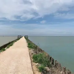 Lungo la pista ciclabile del Lido di Spina, un sentiero si estende verso l'orizzonte, circondato da acque calme e un cielo nuvoloso.