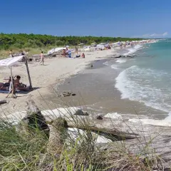 Persone rilassate sotto un telo sulla spiaggia della Bassona, con il mare azzurro e la pineta sullo sfondo.