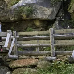 Famiglia felice sul sentiero delle cascate, con una cascata fragorosa alle spalle e un ponte di legno rustico.
