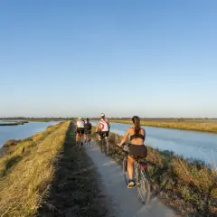 Ciclisti su una **ciclabile Comacchio** tra saline e canali, sotto un cielo azzurro.