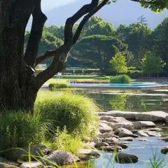 Un'oasi di pace con piscina e laghetto, un luogo ideale per rilassarsi, come in alcune terme sud Italia.