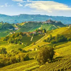 Colline ondulate delle Langhe ricoperte di vigneti dorati e piccoli borghi pittoreschi sotto un cielo azzurro.