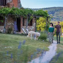 Coppia passeggia con cane in un casale di Sassetta, Livorno, tra vigneti e colline verdi.