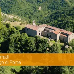 Sentiero delle Foreste Sacre: a Marradi, il Lago di Ponte è un luogo da scoprire.