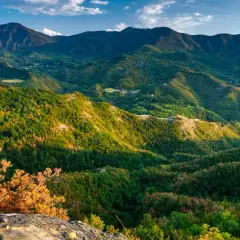 Panoramica mozzafiato del passo del Muraglione, con dolci colline ricoperte di boschi lussureggianti e montagne imponenti all'orizzonte.