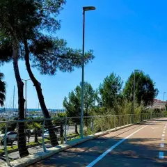 La ciclabile di Imperia, con palme e pini, si snoda verso il porto turistico. Un percorso ideale per godersi il mare e la natura.