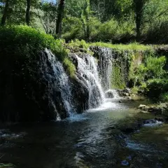 Cascata rigogliosa in un bosco, un angolo di pace che ricorda dove si trova Latronico.