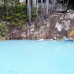 Acque azzurre e torbide delle terme di Cotilia, con vegetazione rigogliosa e rocce erose.