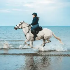 Una cavallerizza sperimenta una gioiosa passeggiata a cavallo sul mare, sollevando spruzzi d'acqua con il suo bianco destriero.