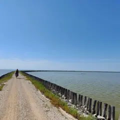 Ciclista solitario pedala sull'argine degli Angeli a Ravenna, circondato da acque calme sotto un cielo azzurro.