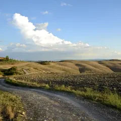 Strada sterrata serpeggia tra le dolci colline senesi, con un casale in lontananza sotto un cielo azzurro e nuvoloso.