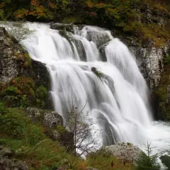 Cascata di Sant'Anna al Pelago, un velo d'acqua bianca scende tra rocce e vegetazione autunnale.