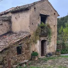 Antica casa in pietra, parte di una città fantasma umbria, con tetto in tegole rotte e vegetazione che cresce ovunque.