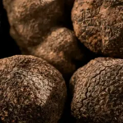 Tartufi neri, tesori della terra umbra, pronti a deliziare i palati più esigenti.