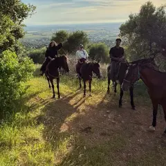 Quattro persone godono di una passeggiata a cavallo toscana, con vista panoramica sulla campagna.