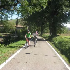 Ciclisti su una strada panoramica, parte della ciclovia del sole, immersi nel verde.