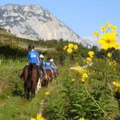 Gruppo di principianti in passeggiata a cavallo tra vigneti e fiori gialli, con montagne sullo sfondo.