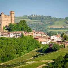 Borgo medievale con castello e vigneti, uno dei tanti **paesi da visitare nelle Langhe**.