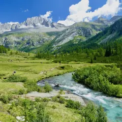 Un torrente cristallino scorre nel **Val di Fumo**, circondato da prati verdi e montagne imponenti.