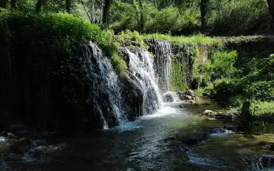 Cascata rigogliosa in un bosco, un angolo di pace che ricorda dove si trova Latronico.