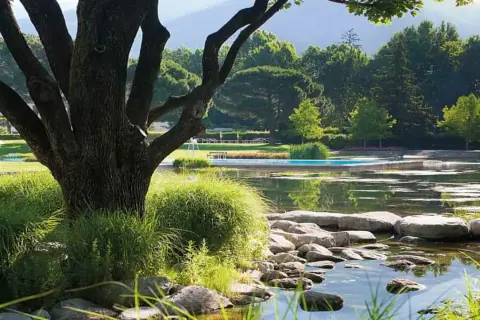 Un'oasi di pace con piscina e laghetto, un luogo ideale per rilassarsi, come in alcune terme sud Italia.