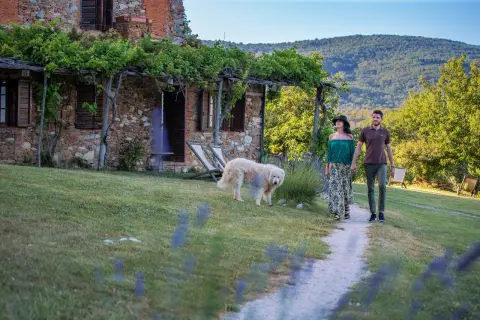 Coppia passeggia con cane in un casale di Sassetta, Livorno, tra vigneti e colline verdi.