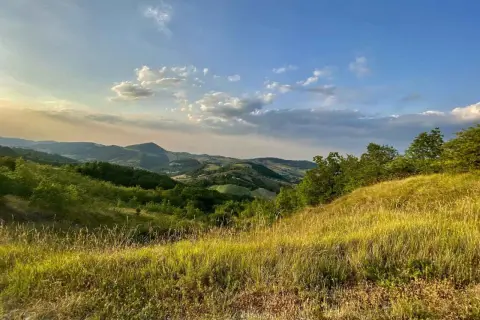 Dolci colline di Parma sotto un cielo azzurro con nuvole bianche. L'erba dorata ondeggia al vento, abbracciando la vegetazione lussureggiante.