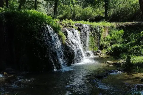 Cascata rigogliosa in un bosco, un angolo di pace che ricorda dove si trova Latronico.