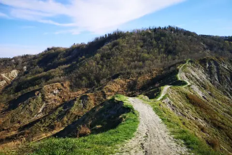 Sentiero sterrato serpeggia su crinale erboso, ideale per il trekking a Cesena, con colline boscose sullo sfondo e cielo azzurro.