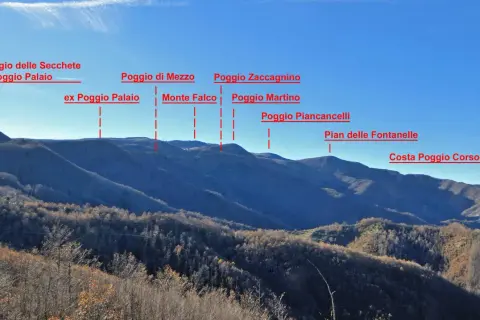 Panoramica del monte battaglia con varie cime etichettate: Poggio Palaio, Monte Falco, Poggio Piancancelli e altre.