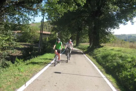 Ciclisti su una strada panoramica, parte della ciclovia del sole, immersi nel verde.