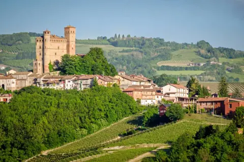Borgo medievale con castello e vigneti, uno dei tanti **paesi da visitare nelle Langhe**.
