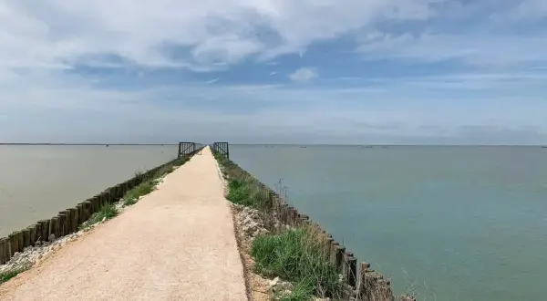 Un lungo molo di ghiaia si estende verso l'orizzonte, invitando a piacevoli passeggiate in Romagna. Il mare calmo e il cielo azzurro creano un'atmosfera serena.