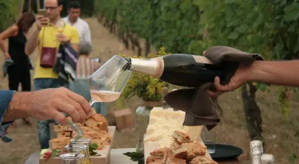 Un brindisi nel Val Tidone: bollicine versate in un calice, circondate da focaccia e formaggio, con vigneti sullo sfondo.
