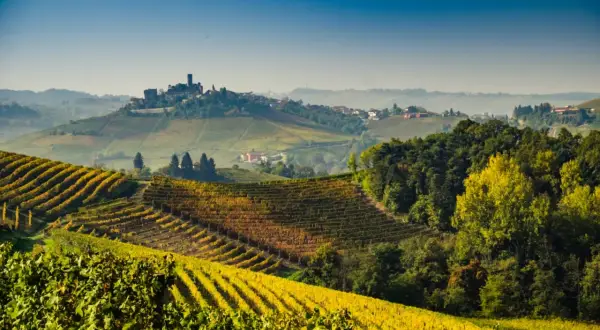 Colline dorate di vigneti in autunno, con un castello in lontananza. Un paesaggio che evoca la differenza tra Langhe e Monferrato, terre di vino e storia.