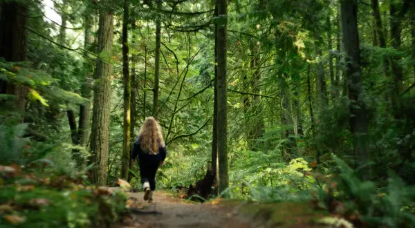 Una ragazza con lunghi capelli biondi sta camminando nei boschi, immersa nella lussureggiante vegetazione verde.