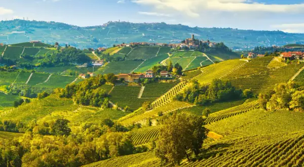 Colline ondulate ricoperte di vigneti dorati, punteggiate da casali e borghi, un paesaggio iconico delle Langhe e del Monferrato.