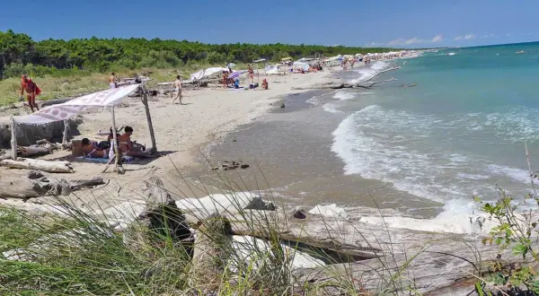 Persone rilassate sotto un telo sulla spiaggia della Bassona, con il mare azzurro e la pineta sullo sfondo.