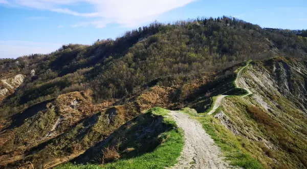 Sentiero tortuoso tra le colline forlivesi, un invito a scoprire panorami mozzafiato e la natura incontaminata.
