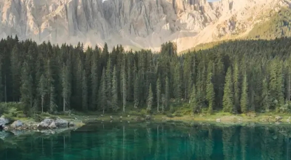 Lago alpino con riflessi di bosco di conifere e montagne imponenti. Un luogo ideale per lo sport e natura.