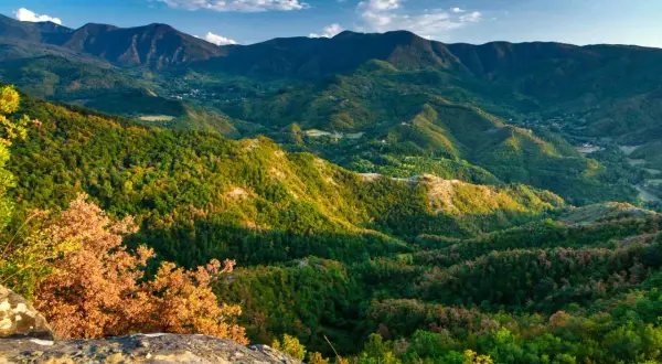 Panoramica mozzafiato del passo del Muraglione, con dolci colline ricoperte di boschi lussureggianti e montagne imponenti all'orizzonte.