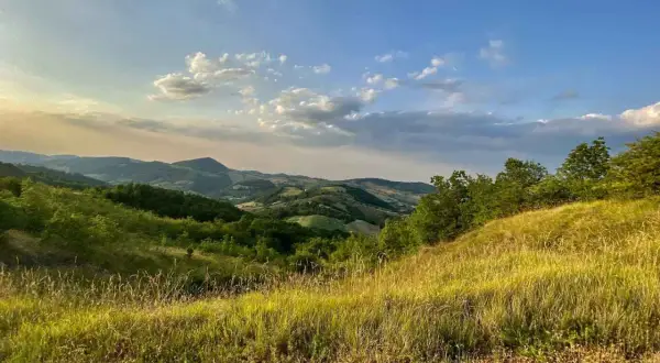 Dolci colline di Parma sotto un cielo azzurro con nuvole bianche. L'erba dorata ondeggia al vento, abbracciando la vegetazione lussureggiante.
