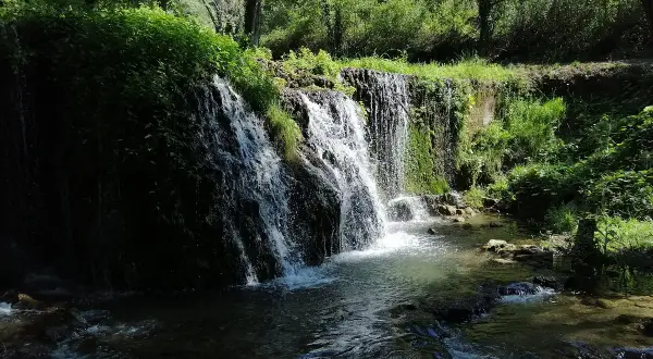 Cascata rigogliosa in un bosco, un angolo di pace che ricorda dove si trova Latronico.