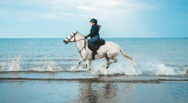 Una cavallerizza sperimenta una gioiosa passeggiata a cavallo sul mare, sollevando spruzzi d'acqua con il suo bianco destriero.