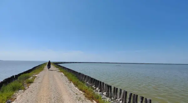 Ciclista solitario pedala sull'argine degli Angeli a Ravenna, circondato da acque calme sotto un cielo azzurro.