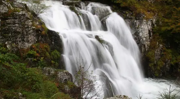 Cascata di Sant'Anna al Pelago, un velo d'acqua bianca scende tra rocce e vegetazione autunnale.