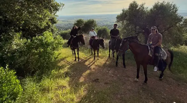 Quattro persone godono di una passeggiata a cavallo toscana, con vista panoramica sulla campagna.
